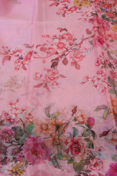 PINK CARNATION